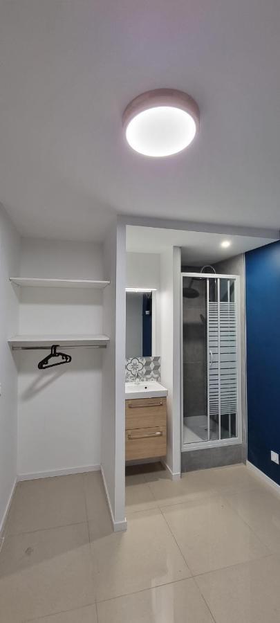 טולוז Chambres Avec Douche Privative Dans Appartement Partage - Metro - Wifi מראה חיצוני תמונה