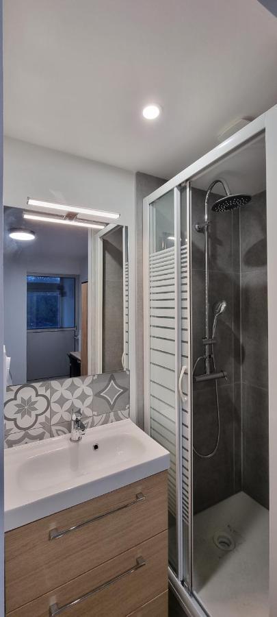 טולוז Chambres Avec Douche Privative Dans Appartement Partage - Metro - Wifi מראה חיצוני תמונה